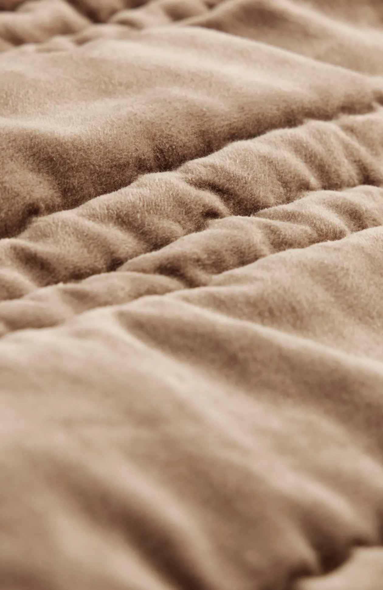 Elements Quilted Velvet Throw