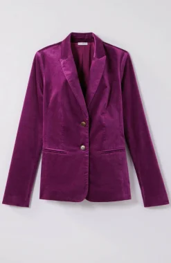 Velveteen Stretch Curved-Hem Blazer